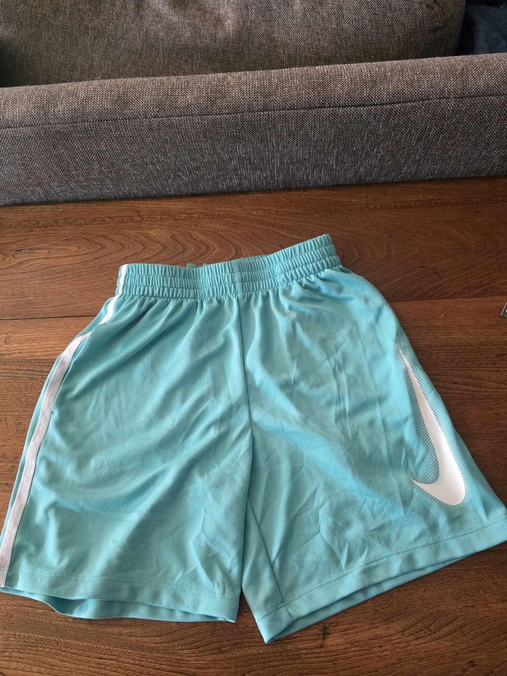 Nike Kids Teal Athletic Shorts with White Swoosh Accent